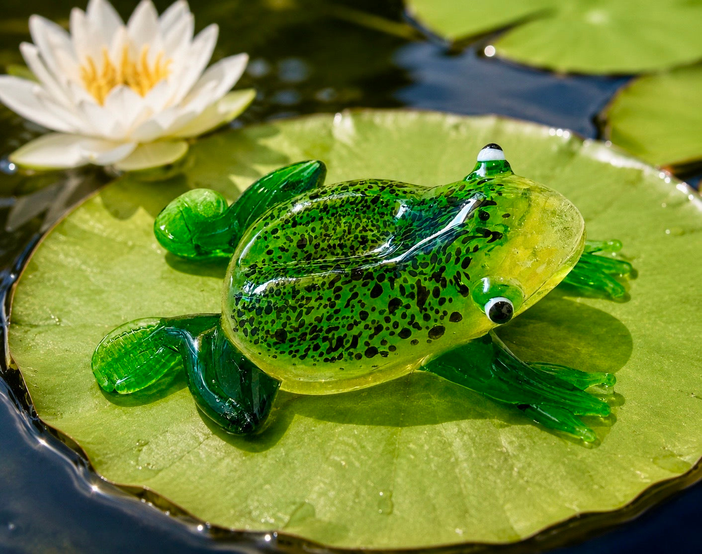 Glass Frog