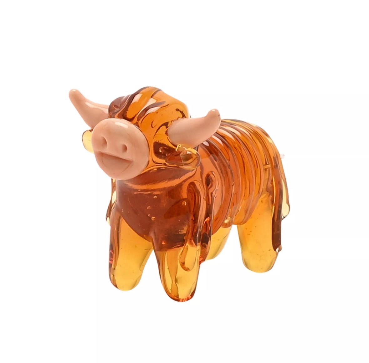 Highland cow