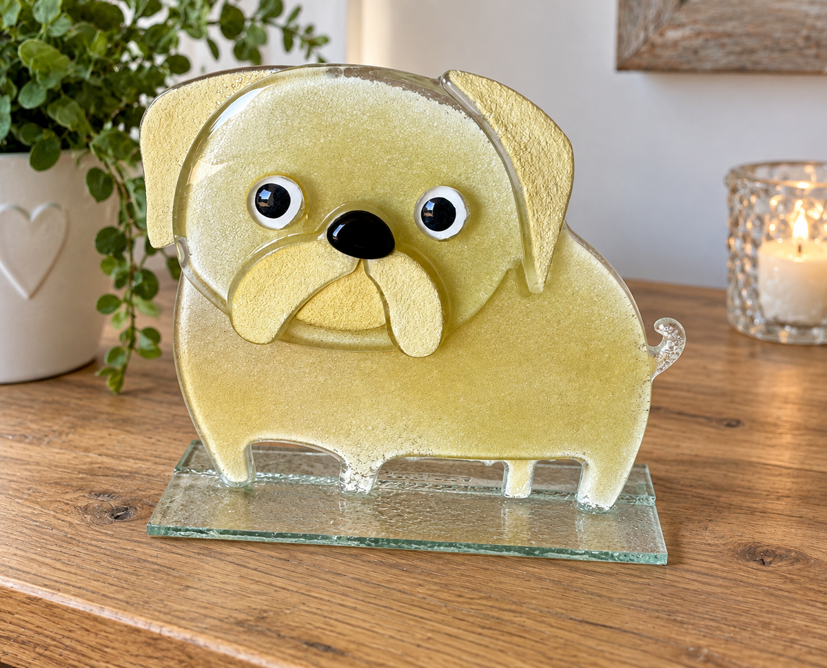 Pug glass Dog
