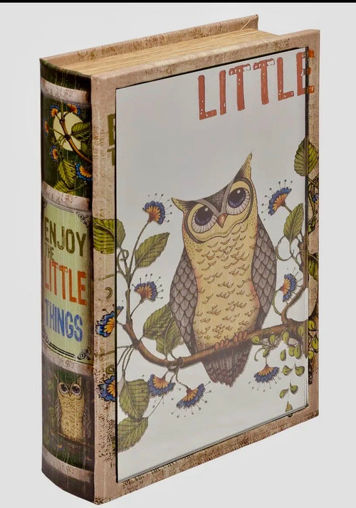 Cat Mirrored large storage box 4 different designs available