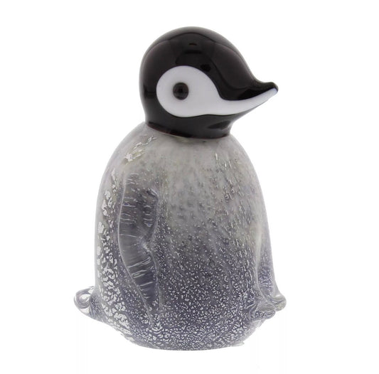 Glass penguin chick