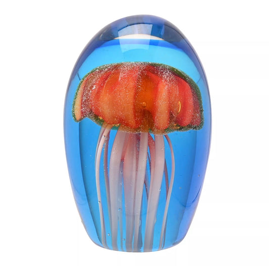 Glass jelly fish