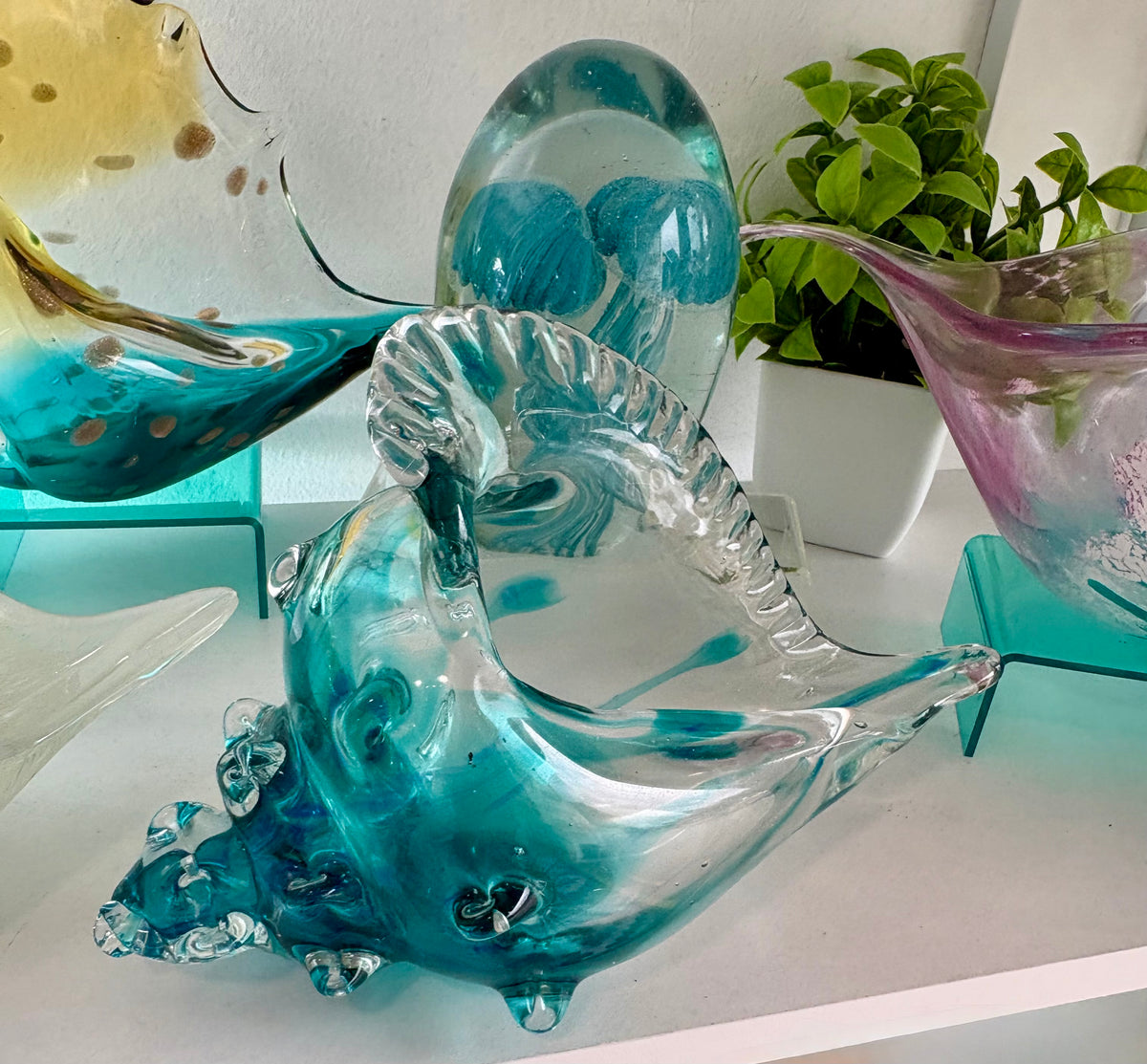 Glass Conch Shell