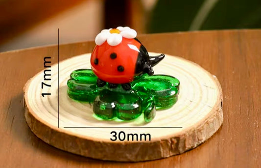 Glass ladybird on leaf